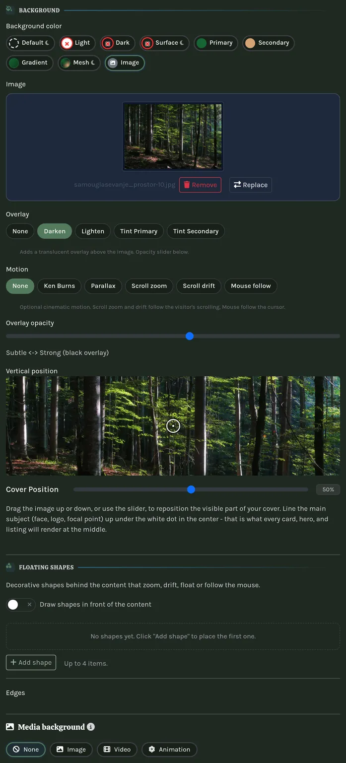 The background controls shared by every section.